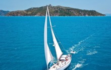 shazatsea_44484332_341655773064824_6278287187722109321_n_0.jpg