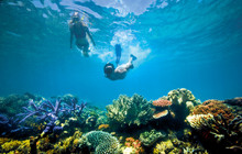 Great-barrier-reef.jpg