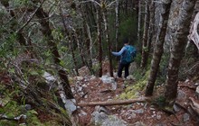 stride_along_71518971_2442895892703744_6442111418465429844_n.jpg