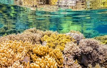 sunloverreefcruises_71118572_139930353927917_6880307851188540925_n.jpg