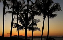 sunrisepeter_71526176_244095443231565_5684796837322563908_n_2.jpg