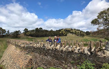 tasmania-tours-2023-1.jpg