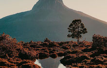 tasmania-tours-2023-101.jpg