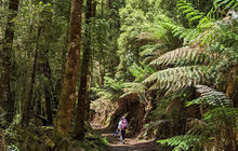 tasmania-tours-2023-14.jpg