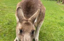 tasmania-tours-2023-26.jpg