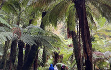 tasmania-tours-2023-27.jpg