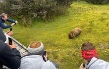 tasmania-tours-2023-32.jpg