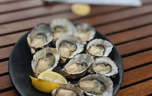 tasmania-tours-2023-48.jpg