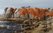 tasmania-tours-2023-5.jpg