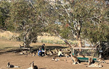tasmania-tours-2023-53.jpg
