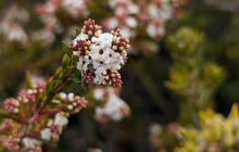 tasmania-tours-2023-55.jpg