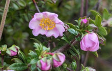 tasmania-tours-2023-56.jpg