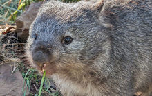 tasmania-tours-2023-60.jpg
