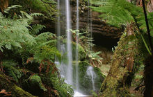 tasmania-tours-2023-63.jpg