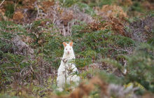 tasmania-tours-2023-7.jpg