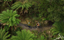 tasmania-tours-2023-71.jpg