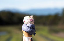 tasmania-tours-2023-75.jpg