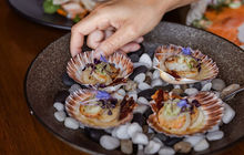tasmania-tours-2023-76.jpg
