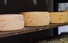 tasmania-tours-2023-77.jpg