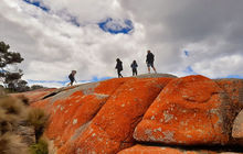 tasmania-tours-2023-8.jpg
