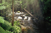 tasmania-tours-2023-81.jpg