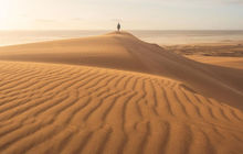 tasmania-tours-2023-88.jpg