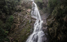 tasmania-tours-2023-92.jpg