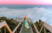 tasmania_51044398_481227999073741_2005229015325928852_n_0.jpg