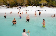 the_volleyballdiaries_72684786_224964205154650_2205187166324624008_n_0.jpg
