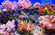 thebogotrip_70215899_167620634360252_1487480132691366146_n.jpg