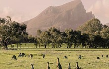 thegrampians_70767298_147042939881589_1687465000852526582_n.jpg