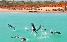visitbroome_73046700_249674016010027_3799120618766225225_n.jpg