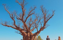 visitbroome_74603509_419240591989711_6363356535951328525_n.jpg