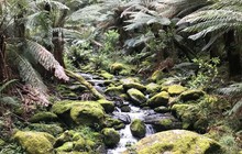 vogtlandscape_71201576_231551401142834_922240101839876133_n.jpg