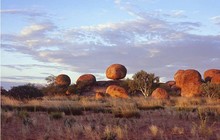 wayoutbackaus_11313245_997937556918237_1318347813_n.jpg
