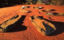 wayoutbackaus_35251106_2116724928611360_609907311904817152_n.jpg