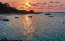 wearefrasercoast_75571728_595665427875313_8258605640743378488_n.jpg