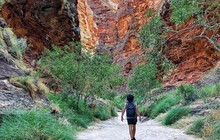 westernaustralia_58793444_2321784027843712_2963811854552163189_n.jpg
