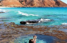 westernaustralia_62211265_142377363513726_3107688897356214905_n_0.jpg