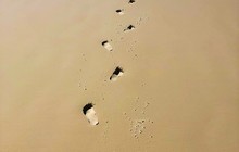 whitsundaysyachtcharters_66104151_196206251376563_1242781922228283583_n_2.jpg