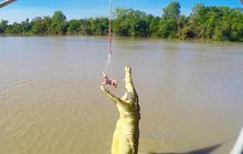 willevaroundtheworld_39975165_261539747821198_3107192080246505472_n_0.jpg