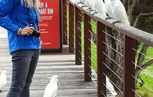 yvonne_lovestotravel_71111431_176764930163719_3538494296755358929_n.jpg