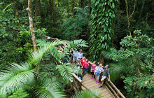 capetribtour.jpg