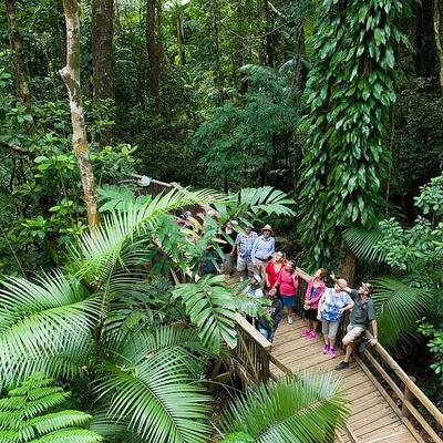 3 Day Reef & Rainforest Highlights 