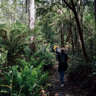 2 Day Best of Tasmania Tour