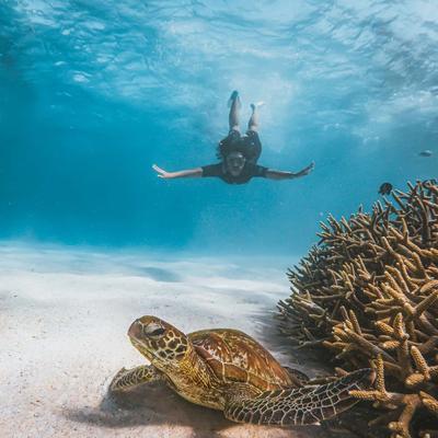 4 Day Perth to Monkey Mia