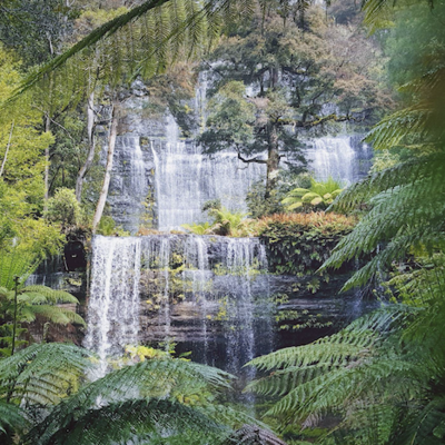 6 Day Tasmania in Comfort