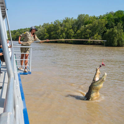 1 Day Kakadu Tour