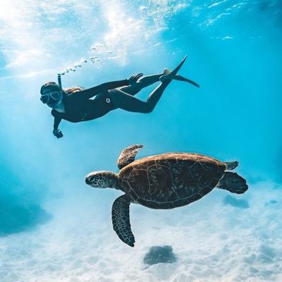 10 Day Cairns to Brisbane Highlights