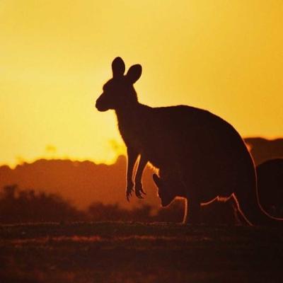 10 Day Ultimate Tasmania Tour